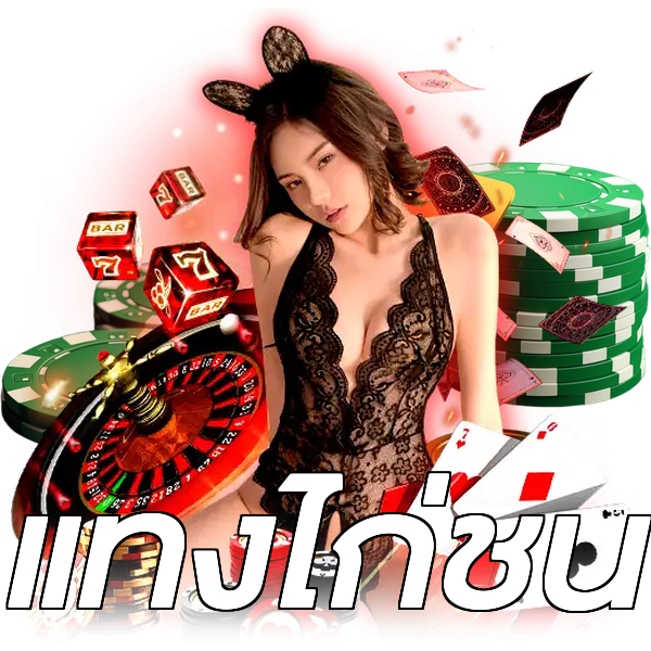 แทงไก่ชน